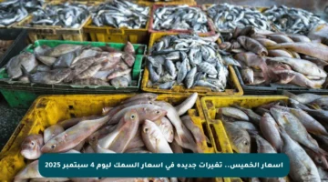 أسعار الخميس.. تغيرات جديدة في أسعار السمك ليوم 4 سبتمبر 2025